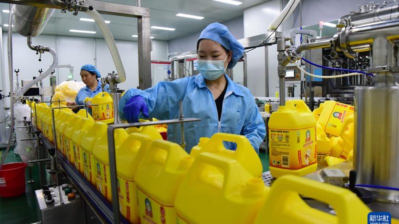 PBT加纤改性定制公司