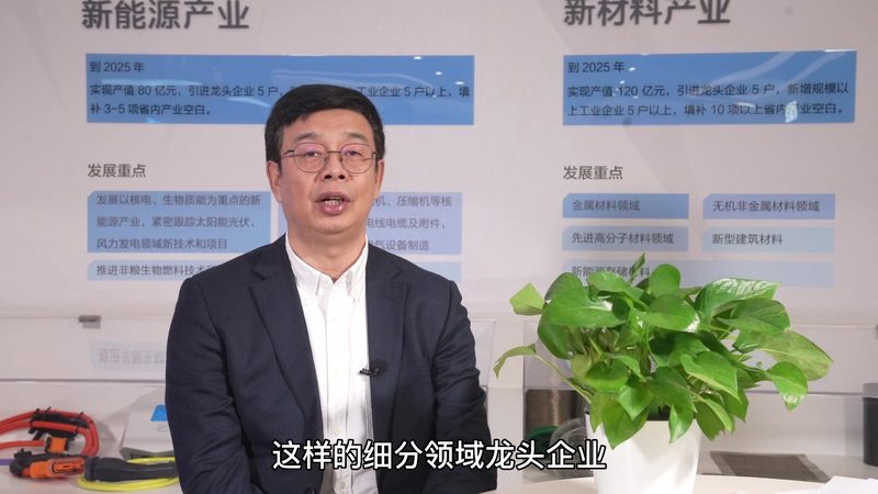 定制化服务，开启真皮处理新篇章**